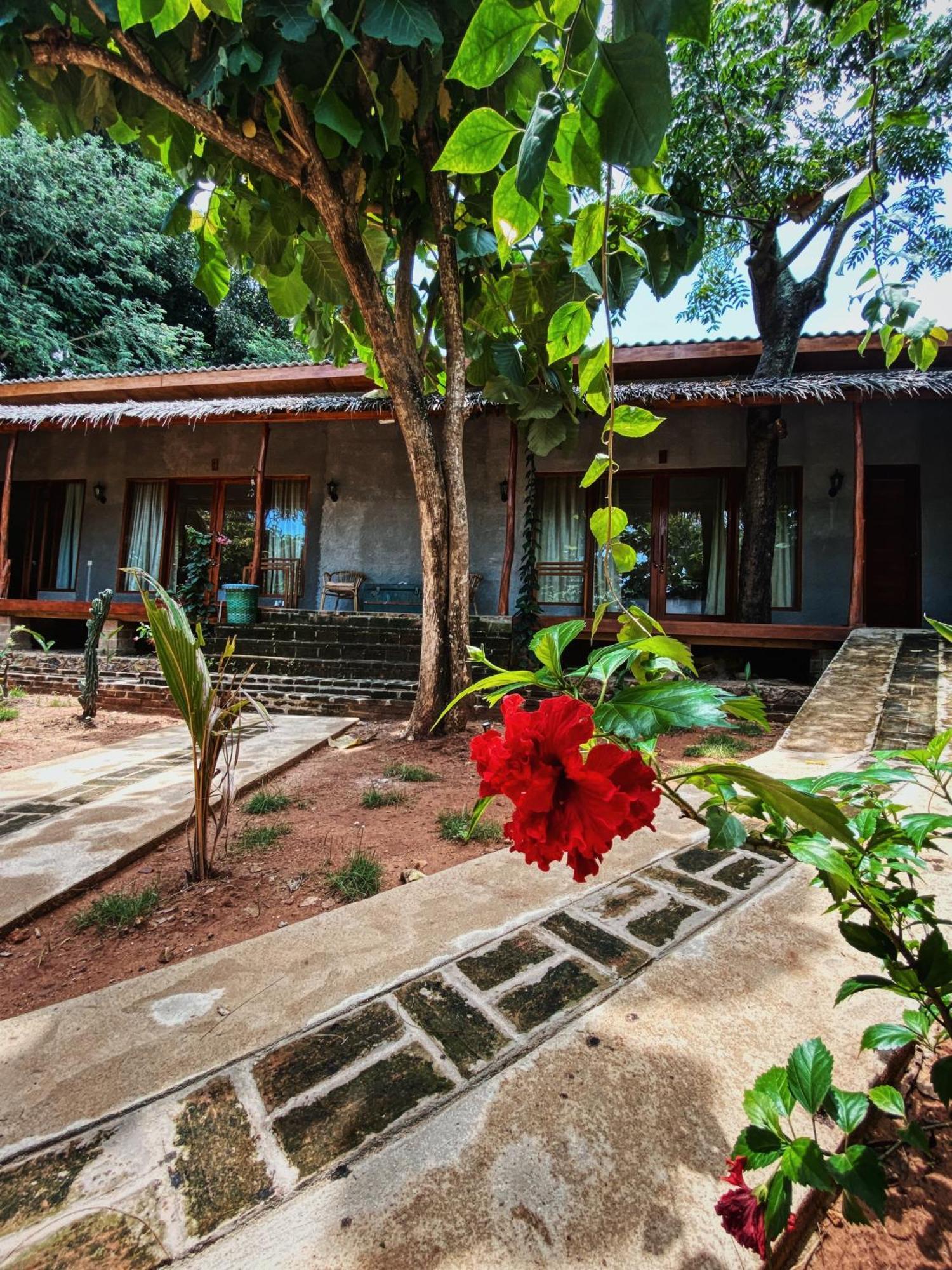 Basa-Basi Lodge Karimunjawa Kültér fotó