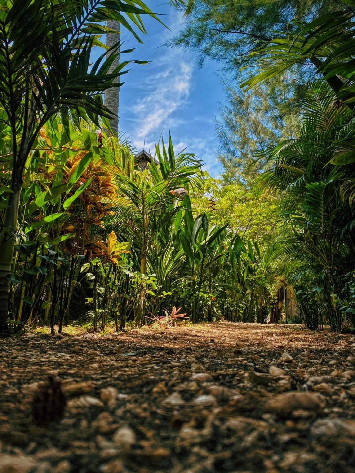 Basa-Basi Lodge Karimunjawa Kültér fotó